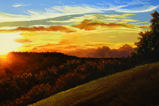 "Saturday Evening with Dan"  14x25" Sunset Weather Painting